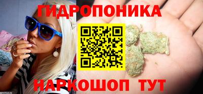 ПСИЛОЦИБИНОВЫЕ ГРИБЫ Обнинск