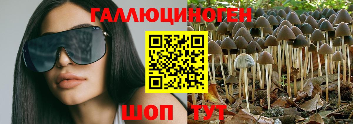 Галлюциногенные грибы MAGIC MUSHROOMS Находка