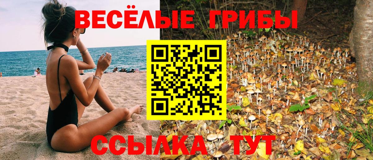где найти наркотики  Псилоцибиновые грибы мицелий  Вход с VPN  Находка 