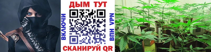 цены   Находка  Шишки марихуана THC 21% 
