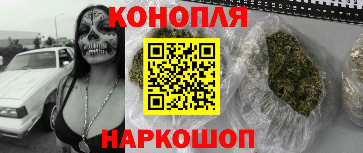 Бошки Шишки план Находка